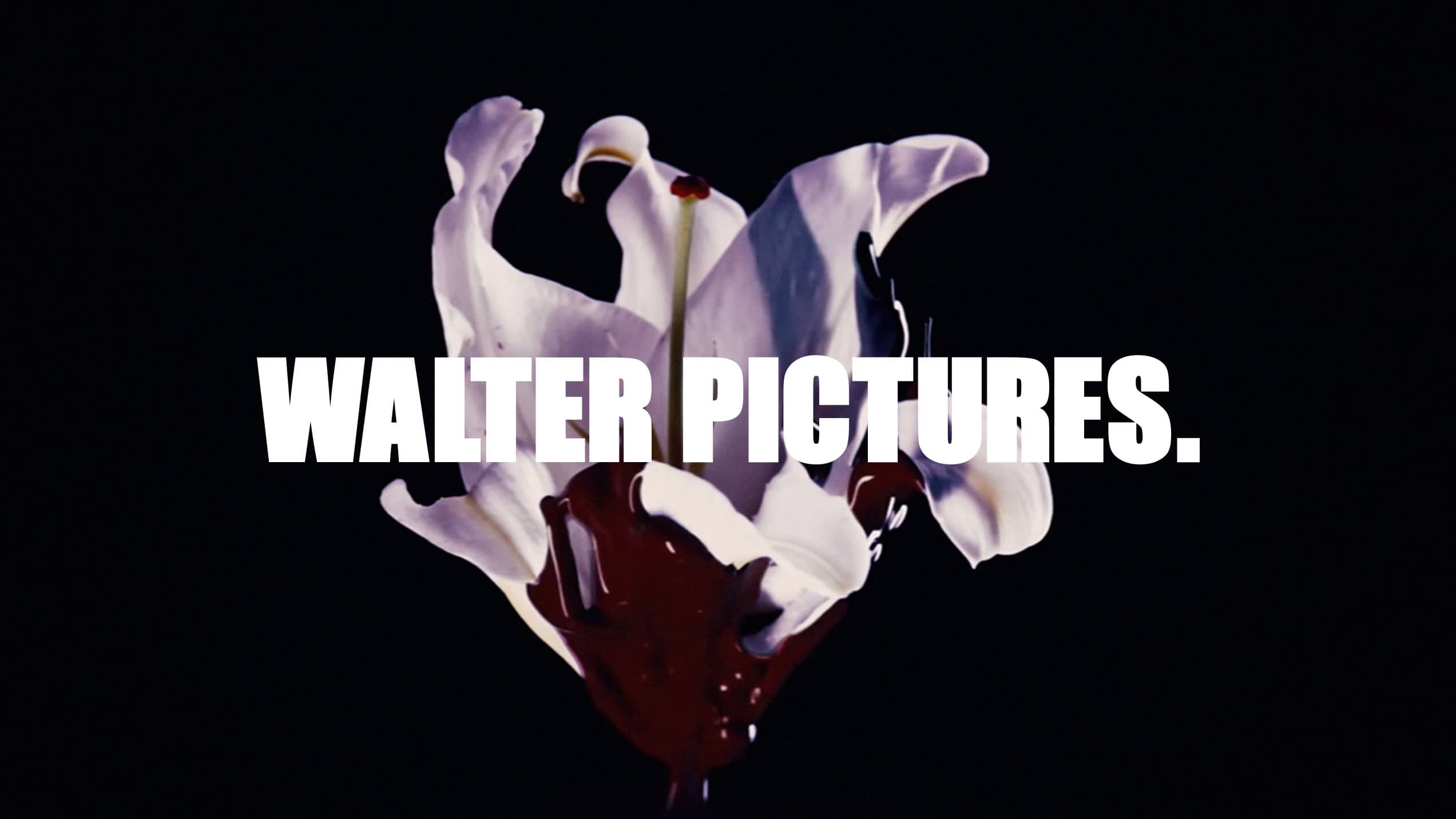 Walter Pictures NYC Branding Ana garcia Segura